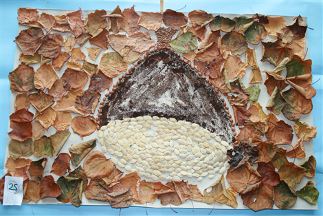 25 Vignolo 5° elementare