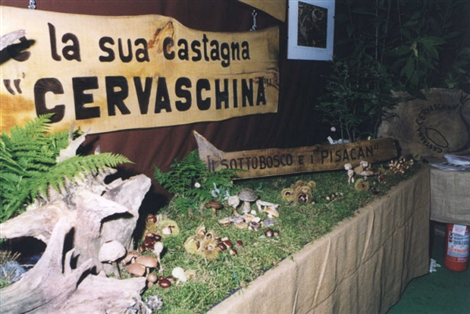 Sagra della castagna e del pisacan