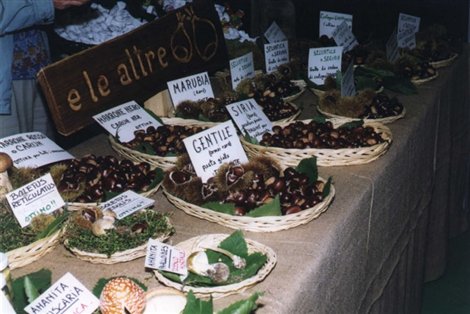 Sagra della castagna e del pisacan